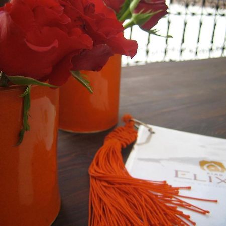 Riad Elixir Μαρακές Εξωτερικό φωτογραφία