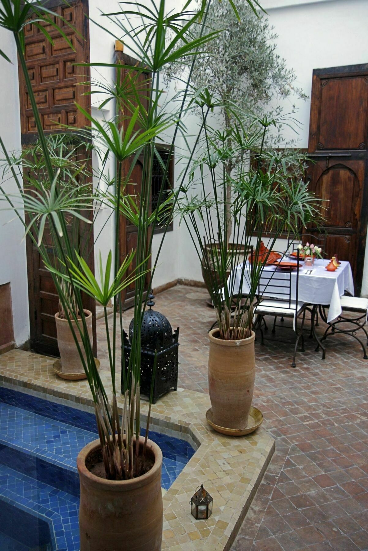 Riad Elixir Μαρακές Εξωτερικό φωτογραφία